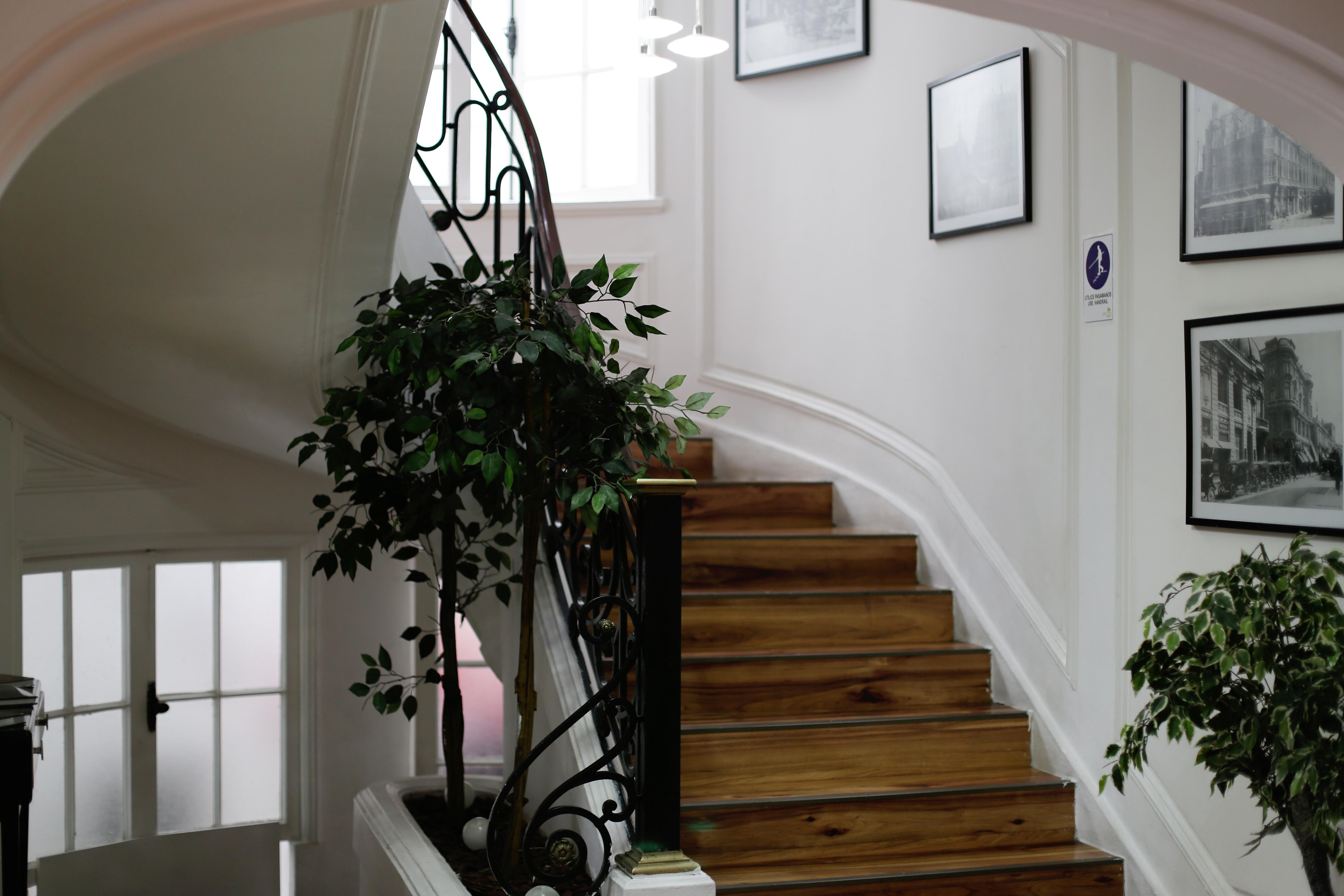 Hotel Boutique Tremo Bellavista — Photos 2